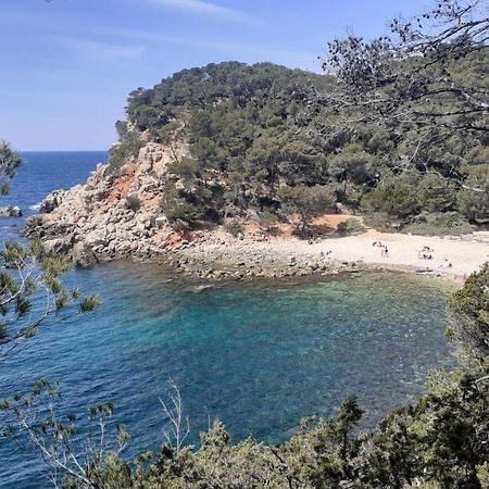 BANDOL Maison de Campagne Bagian luar foto
